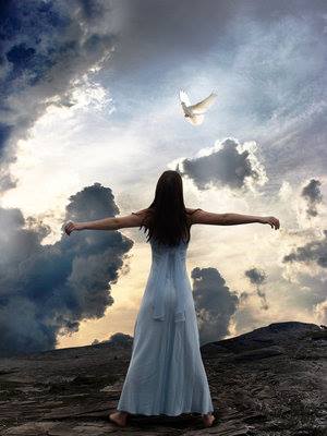 1003158_649664801746556_2124385137_n