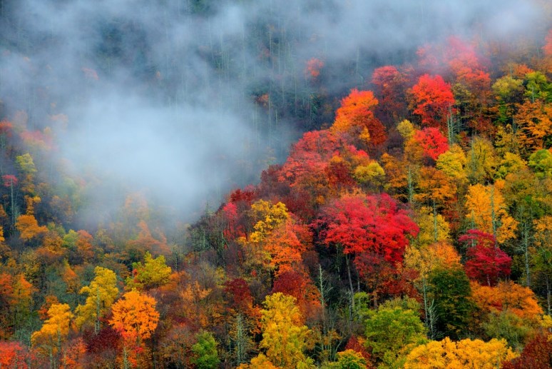 birds-eye-view-of-the-fall-colors-in-pigeon-forge