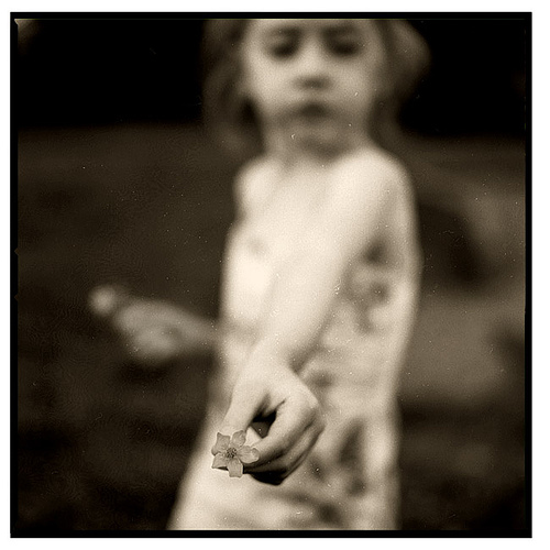 481227186_3ace6f1efa